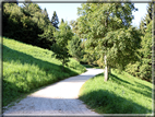 foto Strada delle Penise